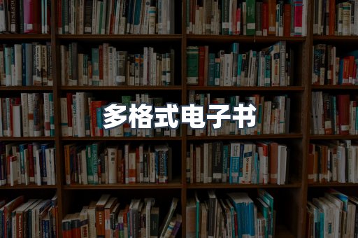 多格式电子书